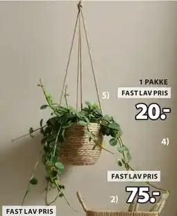 JYSK STEFAN BLOMSTERPOTTE tilbud