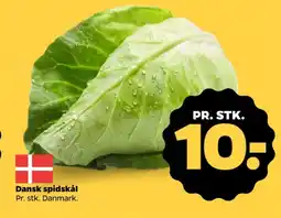 Netto Spidskål tilbud