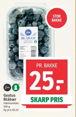 SPAR Blåbær tilbud