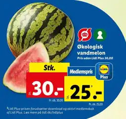 Vandmelon