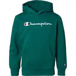 Sport 24 Champion Embroidered Logo Hættetrøje Børn tilbud