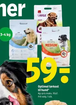 Optimal tørkost til hund