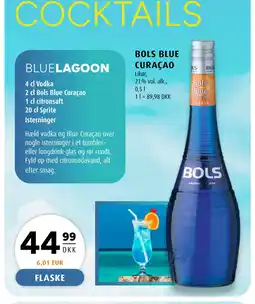 Scandinavian Park BOLS BLUE CURAÇAO tilbud