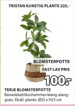 TERJE BLOMSTERPOTTE