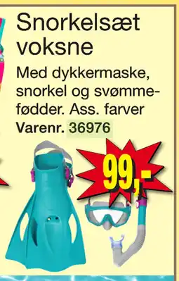 Harald Nyborg Snorkelsæt voksne tilbud