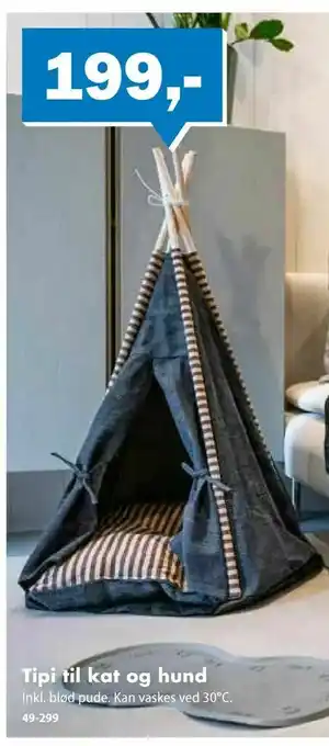 Tipi til kat og hund