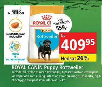 Maxi Zoo ROYAL CANIN Puppy Rottweiler tilbud