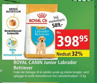 ROYAL CANIN Junior Labrador Retriever