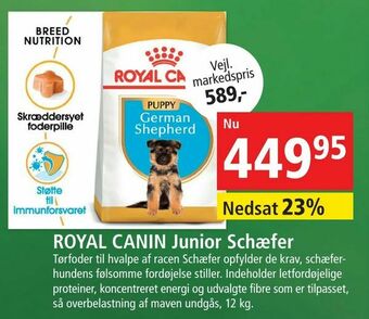 Maxi Zoo ROYAL CANIN Junior Schæfer tilbud