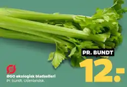 Netto ØGO økologisk bladselleri tilbud