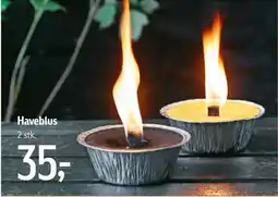 Føtex Haveblus tilbud