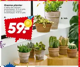 Bilka Grønne planter tilbud