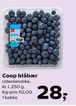 Kvickly Blåbær tilbud