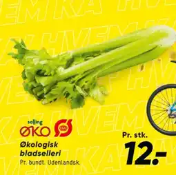 Bilka Bladselleri tilbud