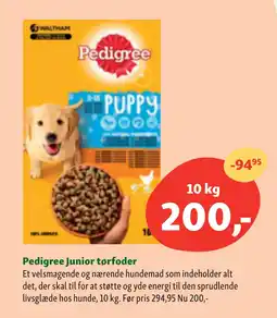 Pedigree Junior tørfoder