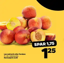 Netto Nektariner tilbud