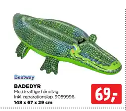 BADEDYR