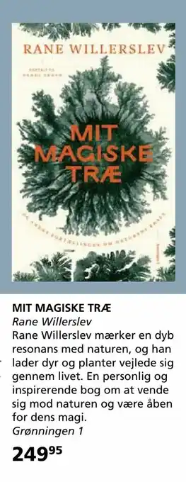 Kon-Tur Mit magiske træ tilbud
