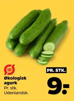 Netto Økologisk agurk tilbud