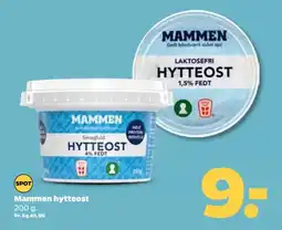 Netto Mammen hytteost tilbud