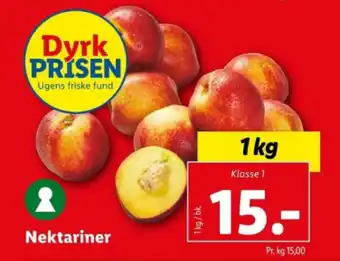 Lidl Nektariner tilbud