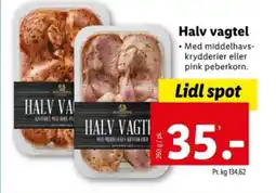 Halv vagtel