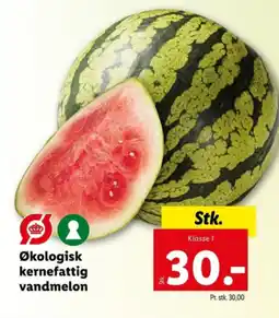Lidl Økologisk kernefattig vandmelon tilbud