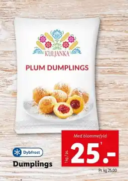 Lidl Dumplings tilbud