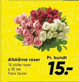 Bilka Afskårne roser tilbud