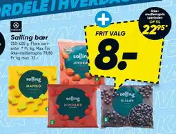 Bilka Salling bær tilbud