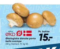 Økologiske danske porto bello svampe