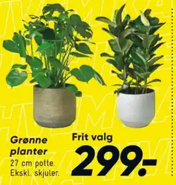 Bilka Planter tilbud
