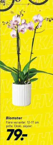 Bilka Planter tilbud