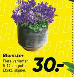 Bilka Planter tilbud