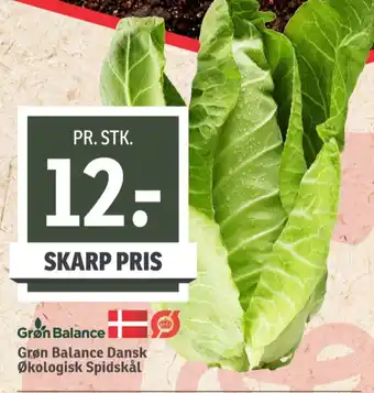 SPAR Spidskål tilbud