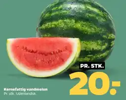 Netto Vandmelon tilbud