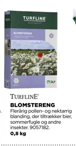 jem & fix BLOMSTERENG tilbud