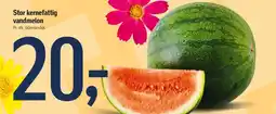 Føtex Stor kernefattig vandmelon tilbud