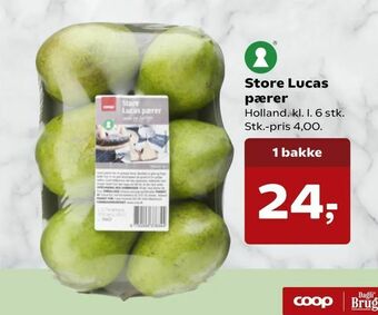 Store Lucas pærer