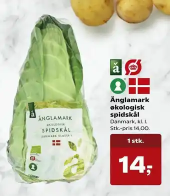 Dagli'Brugsen Änglamark økologisk spidskål tilbud