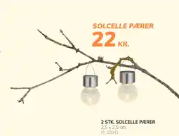 SOLCELLE PÆRER