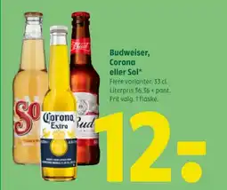 Budweiser, Corona eller Sol