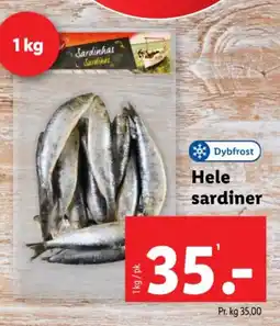 Lidl Hele sardiner tilbud