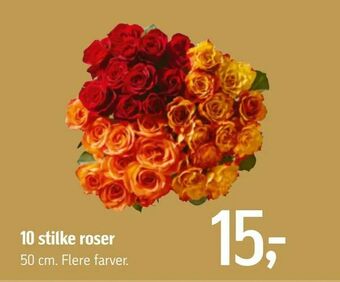Føtex 10 stilke roser tilbud
