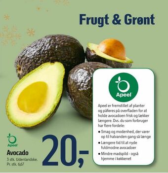 Føtex Avocado tilbud