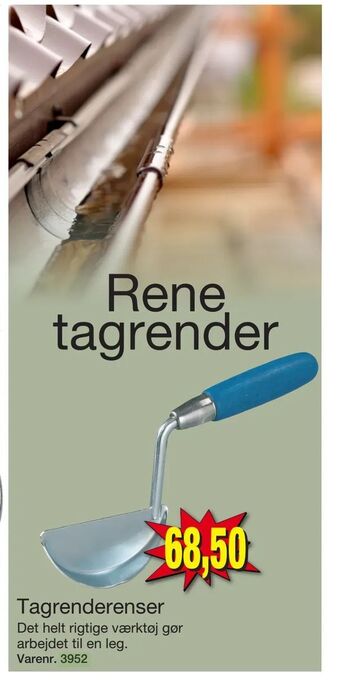 Tagrenderenser