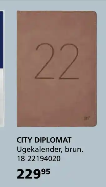 City diplomat