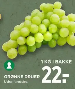 Vindruer