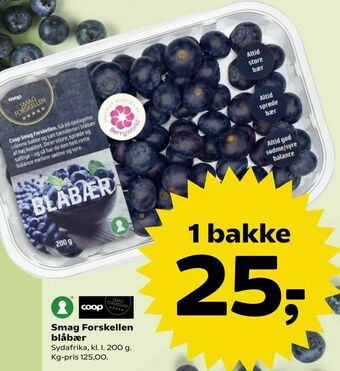 SuperBrugsen Smag Forskellen blåbær tilbud