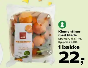 SuperBrugsen Klementiner med blade tilbud